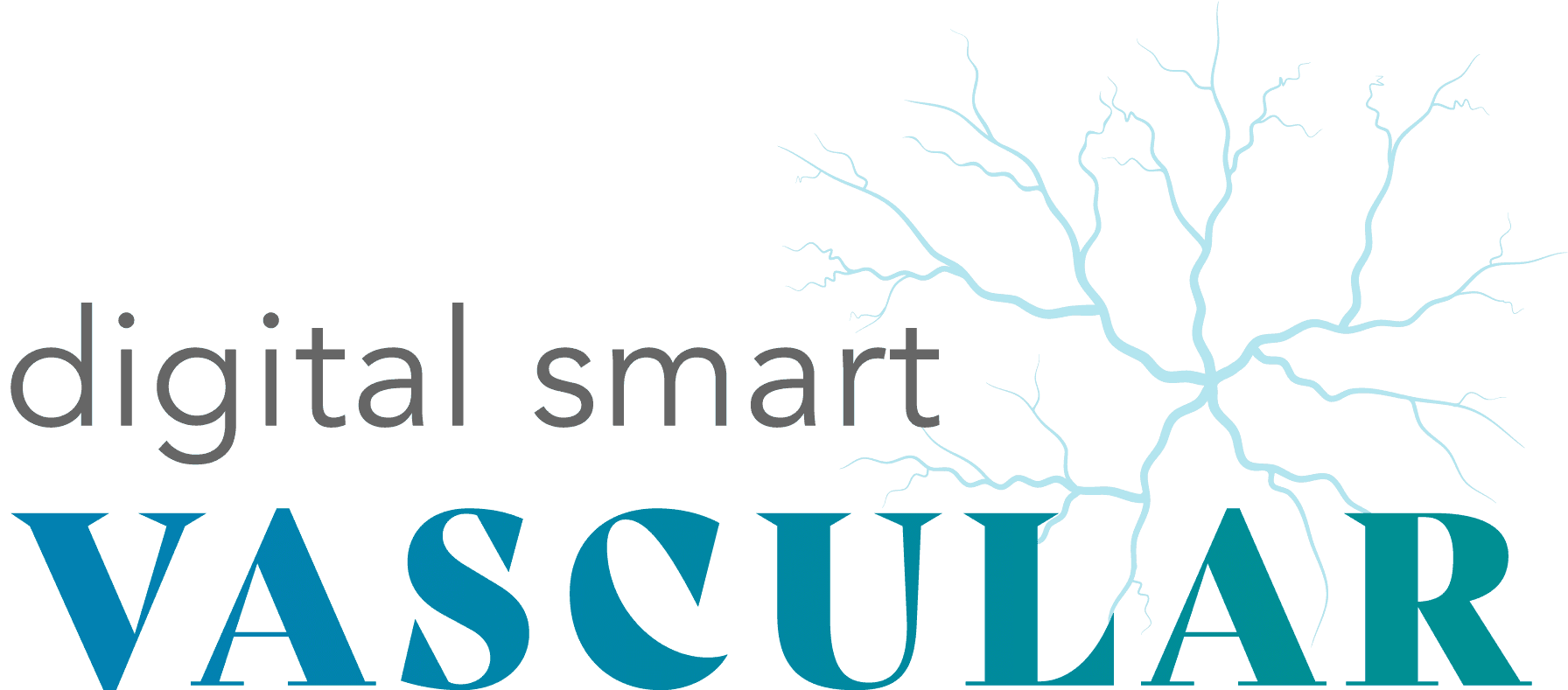 Digital Smart Vascular Logo